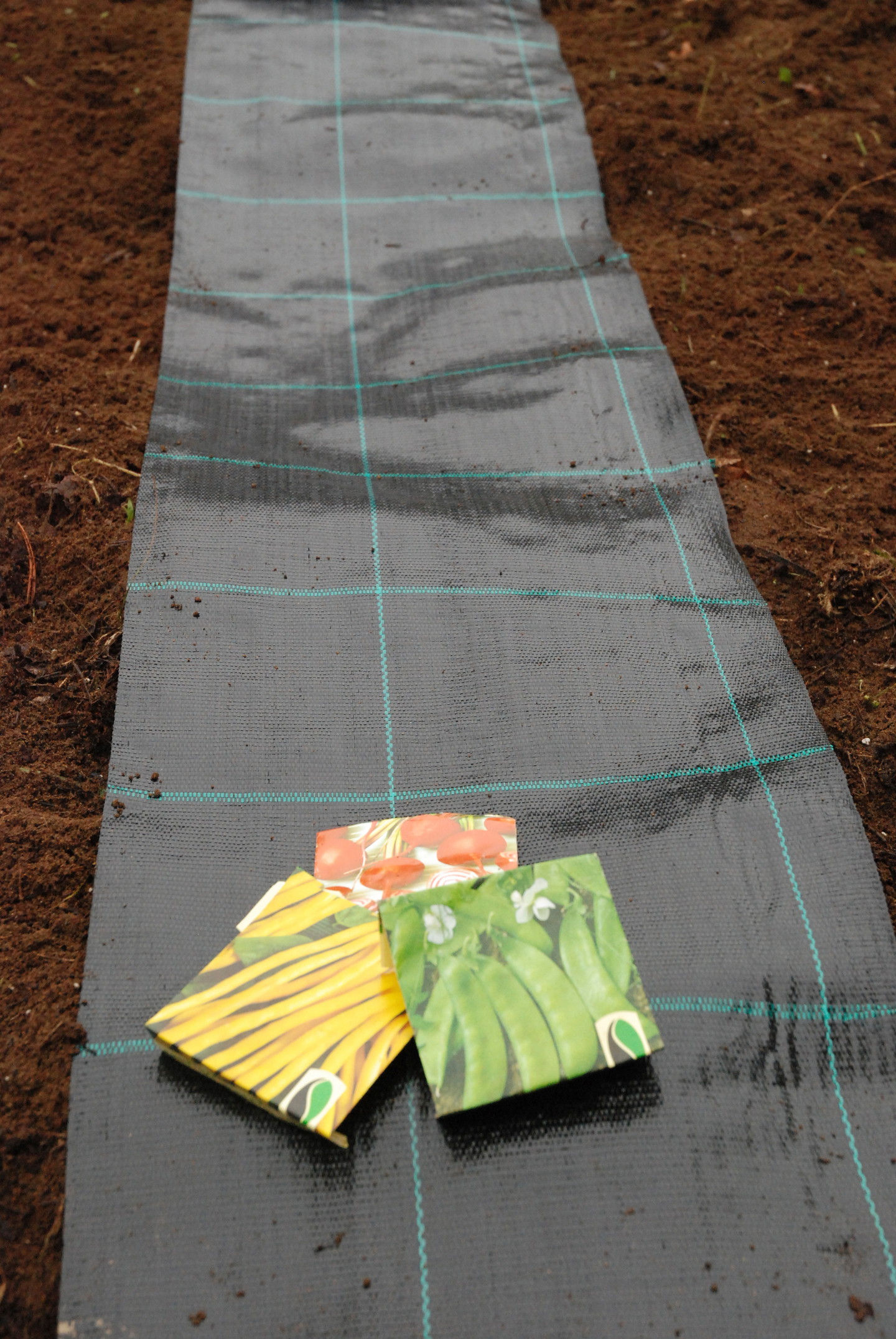 Rivinvälikangas Tarha 0,3x20 m