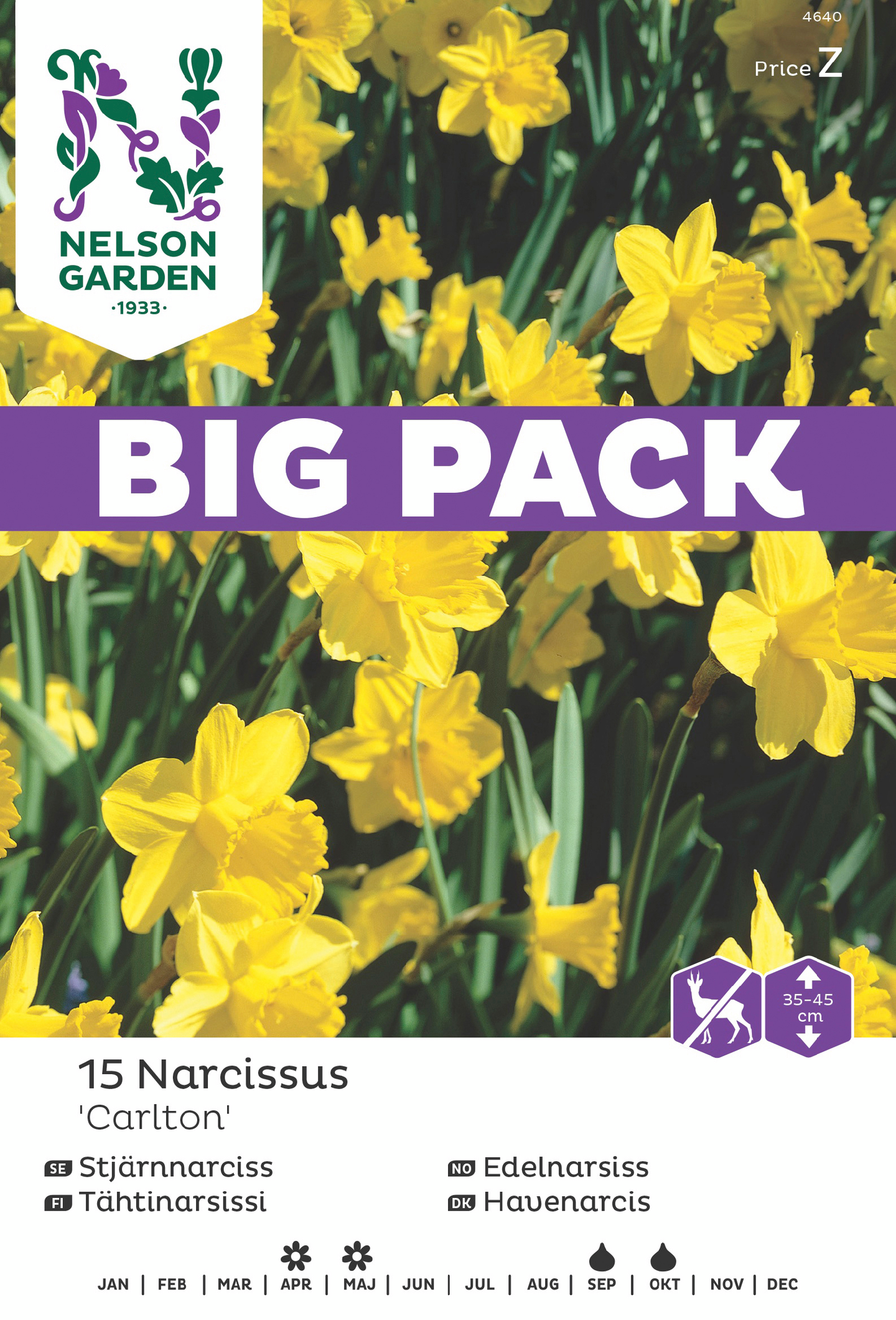 Tähtinarsissi sipuli Nelson Garden Carlton 15kpl