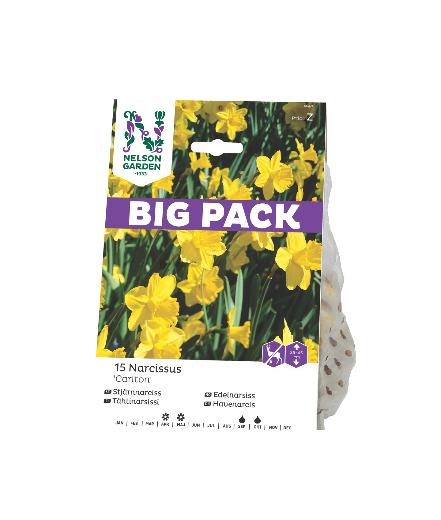 Tähtinarsissi sipuli Nelson Garden Carlton 15kpl