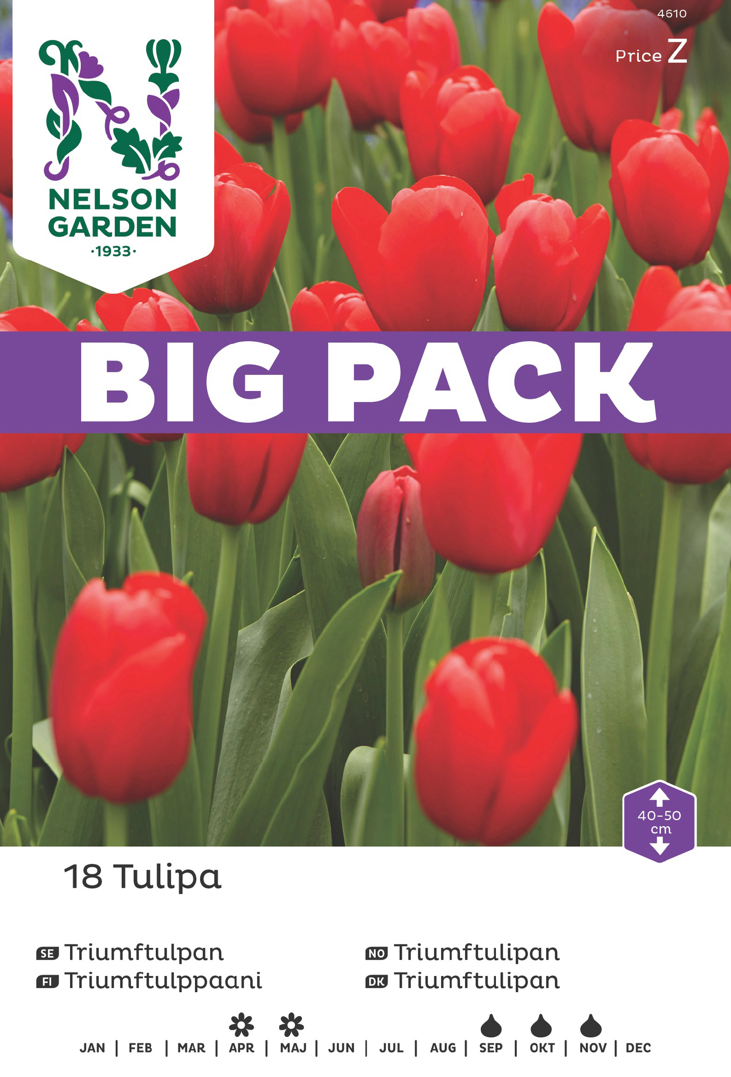 Tulppaani sipuli Nelson Garden Triumph punainen 18kpl