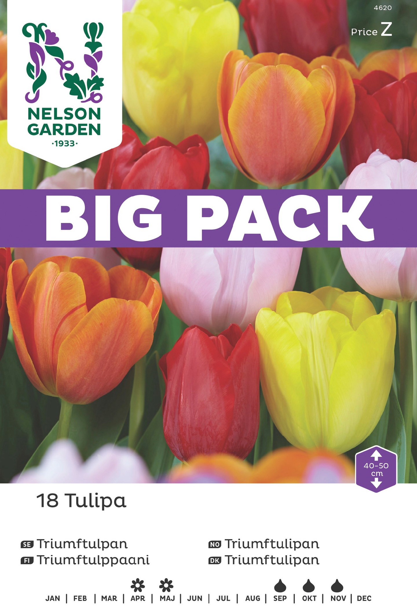 Tulppaani sipuli Nelson Garden Triumph sekoitus 18kpl