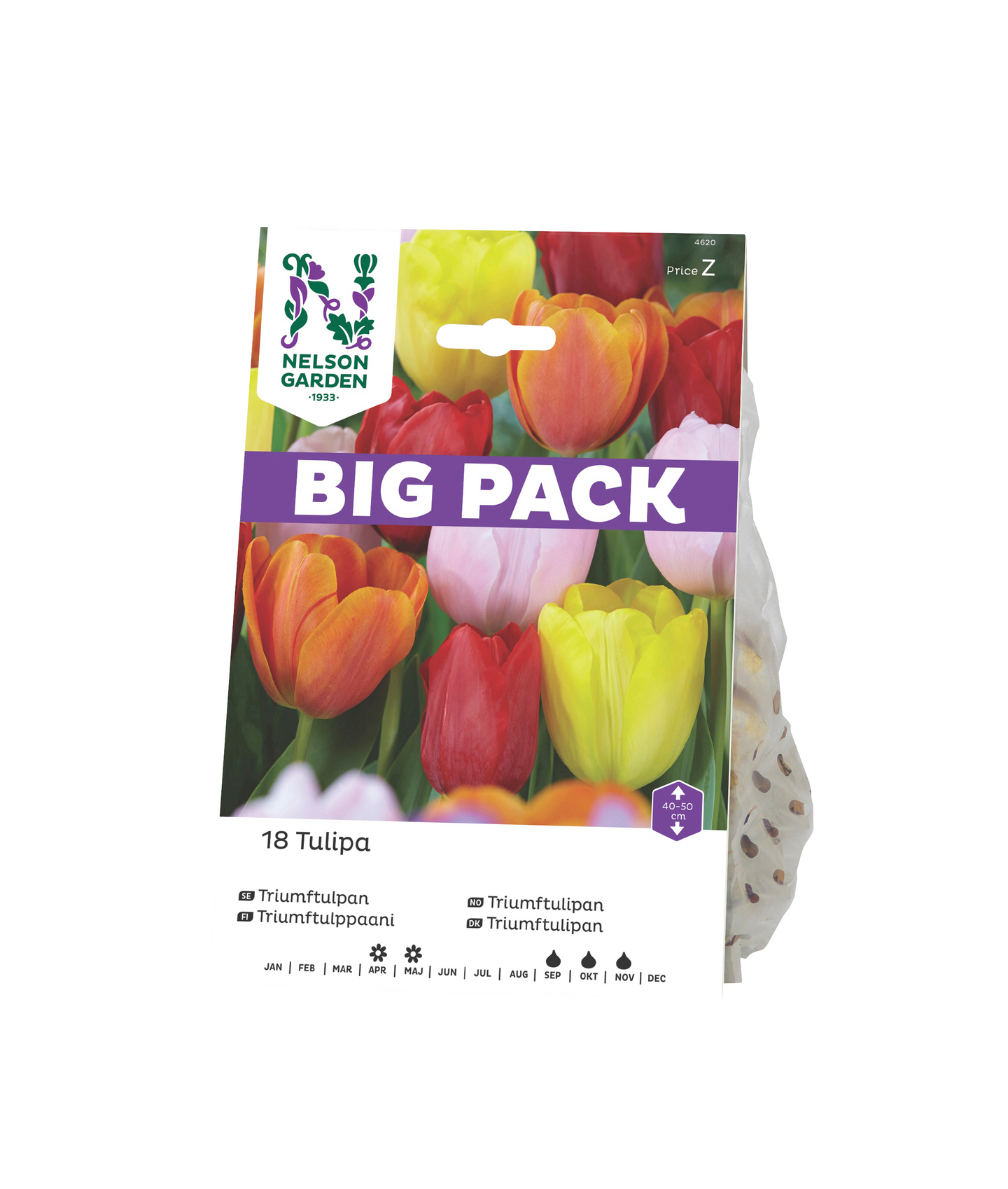 Tulppaani sipuli Nelson Garden Triumph sekoitus 18kpl