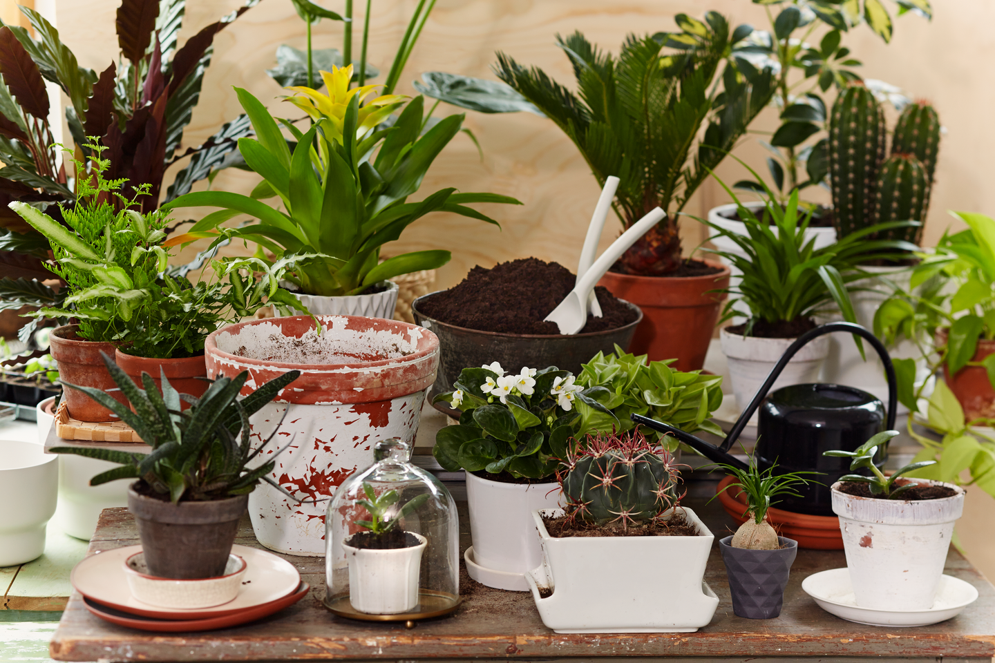 Kukkamulta Kekkilä 30l