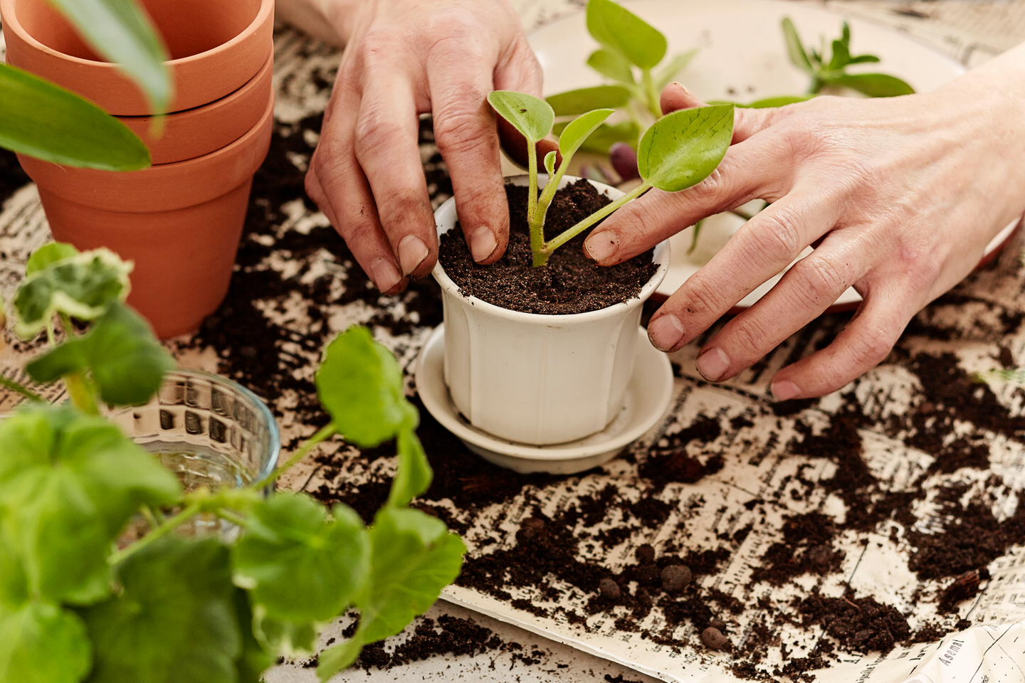 Kukkamulta Kekkilä 30l