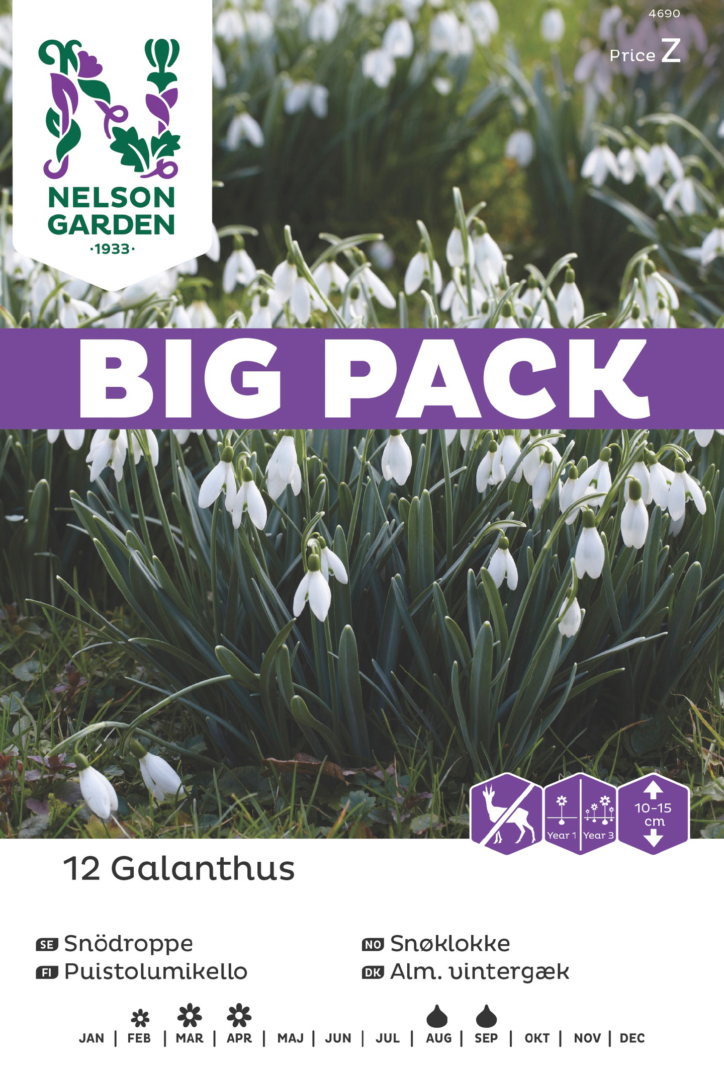 Lumikello sipuli Nelson Garden Galanthus nivalis 12kpl