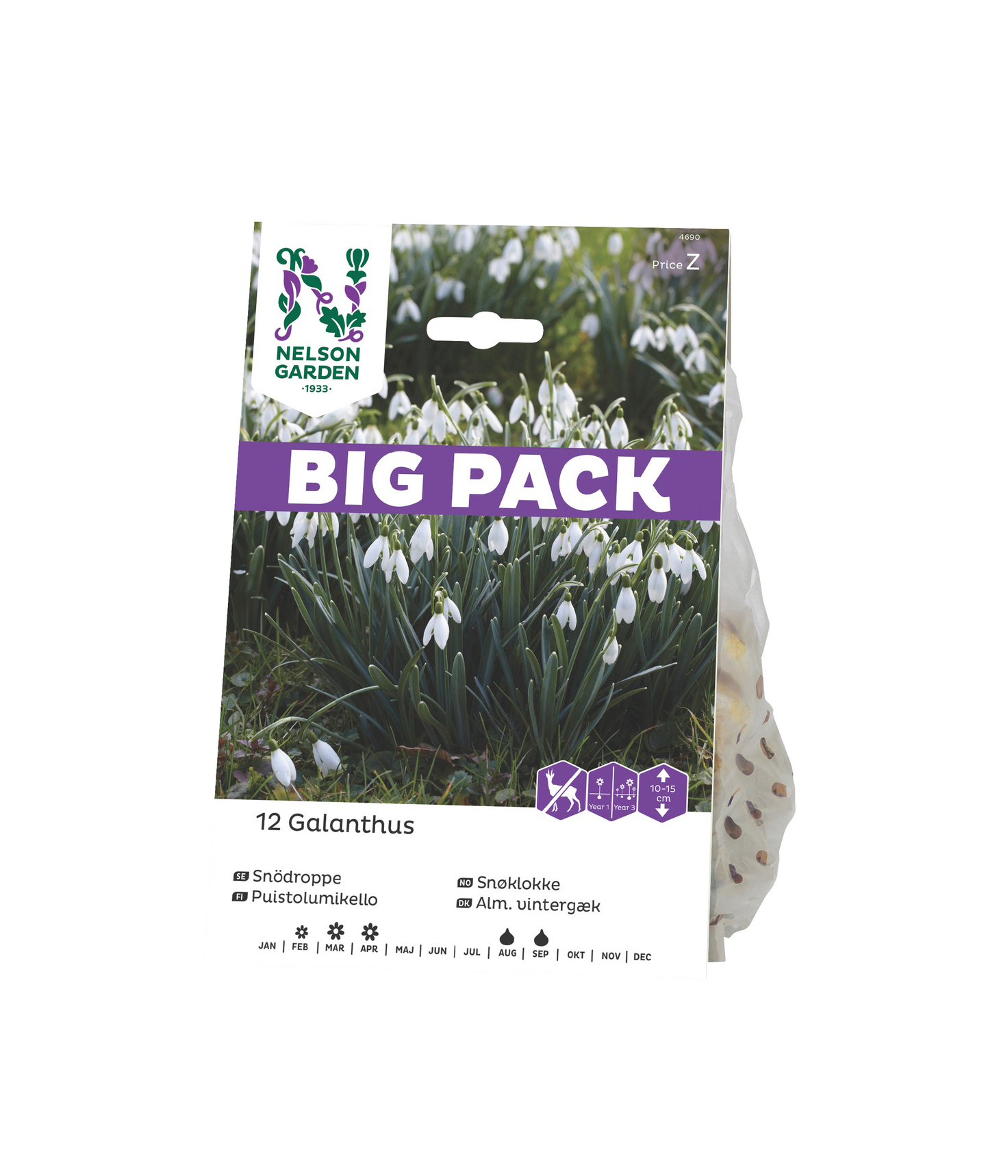 Lumikello sipuli Nelson Garden Galanthus nivalis 12kpl