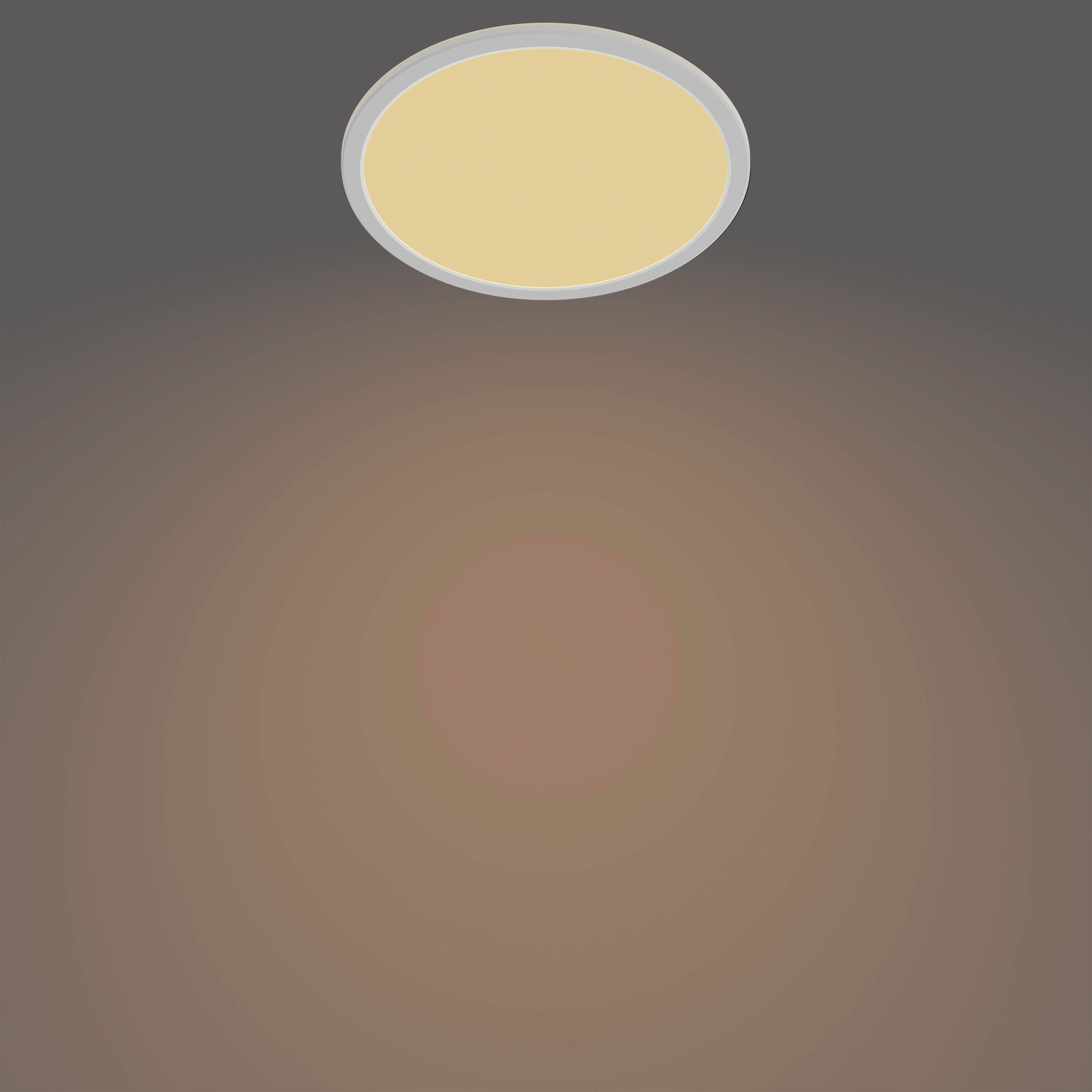 PHILIPS BADRUMSPLAFOND SLIM SS W VIT IP44