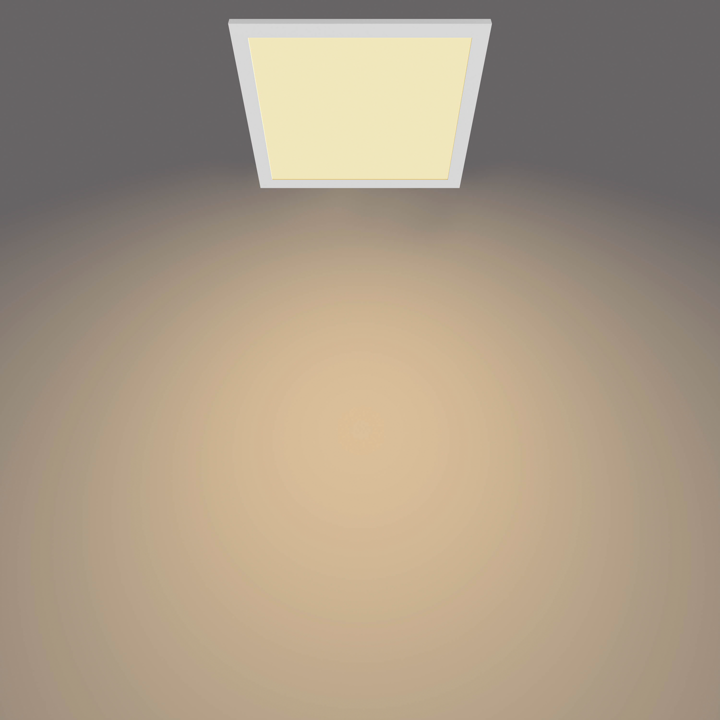 Kattovalaisin Philips Panel 12W 27K valkoinen neliö