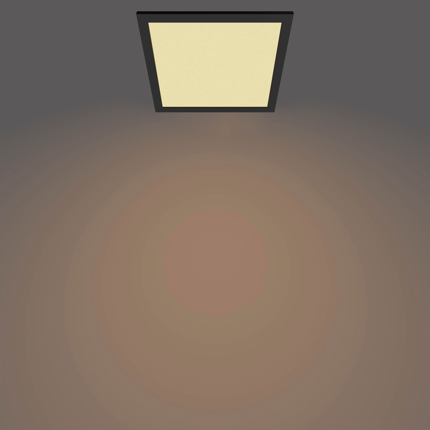 Kattovalaisin Philips Panel 12W 27K musta neliö