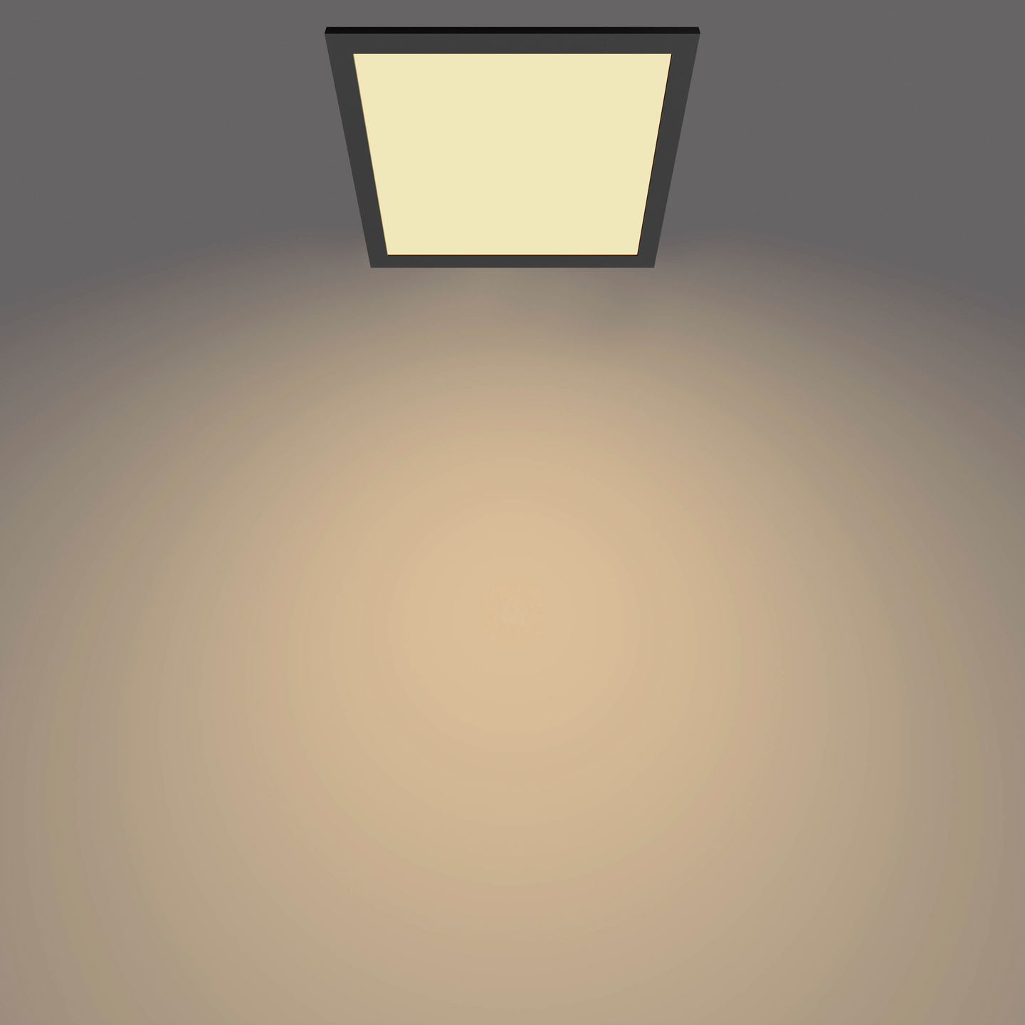 Kattovalaisin Philips Panel 12W 27K musta neliö