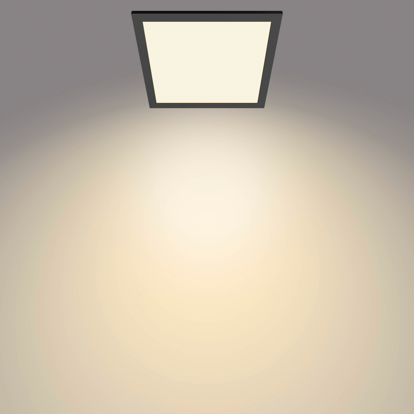 Kattovalaisin Philips Panel 12W 27K musta neliö