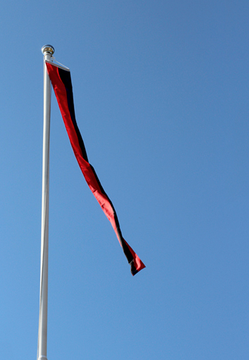 Maakuntaviiri Flagmore Karjala 010