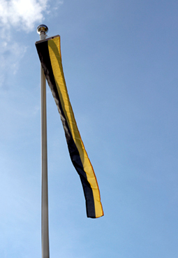 Maakuntaviiri Flagmore Savo 008