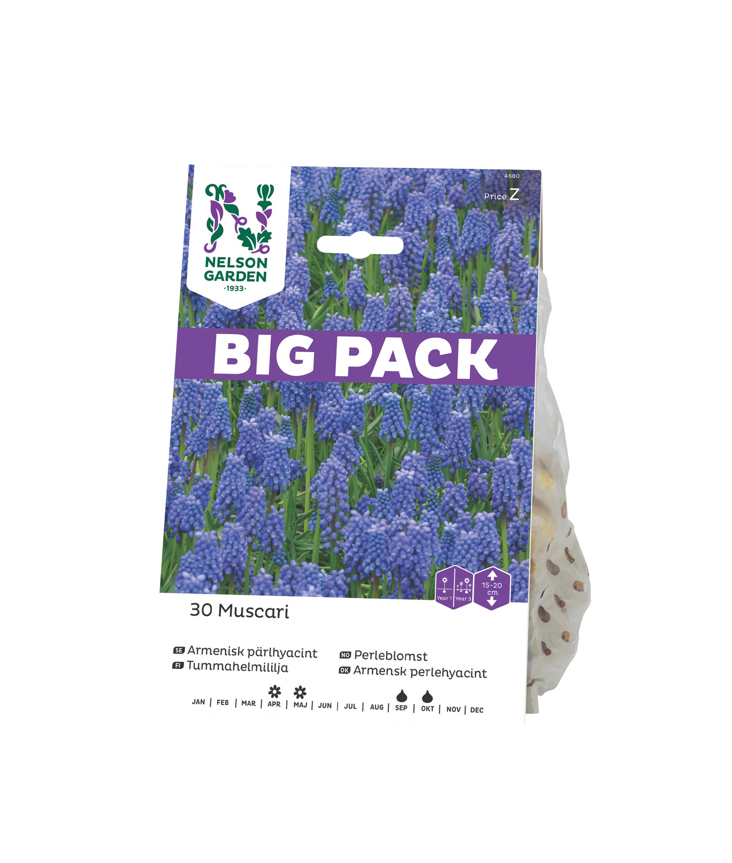 Tummahelmililja sipuli Nelson Garden Muscari Amenia 30kpl