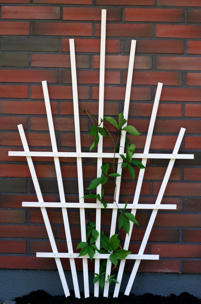 Köynnöstuki Miljöökoriste viuhka 101x55cm säleikkö