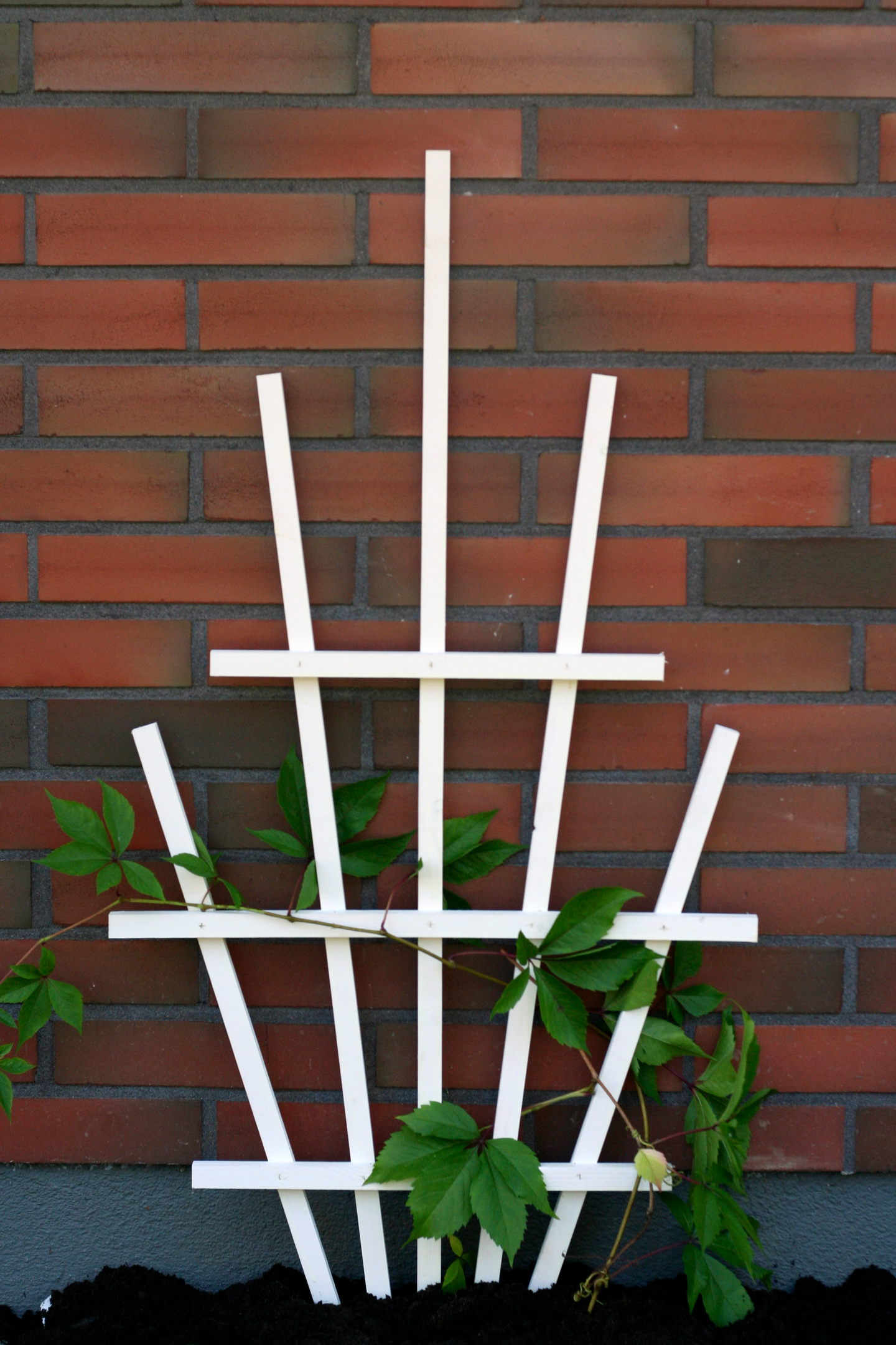 Köynnöstuki Miljöökoriste viuhka 101x55cm säleikkö