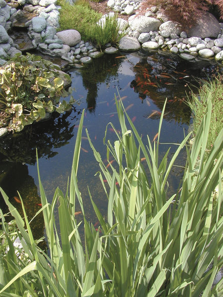 Suihkulähdemuovi Ubbink PVC Aqualiner 0,5mm 4x5m