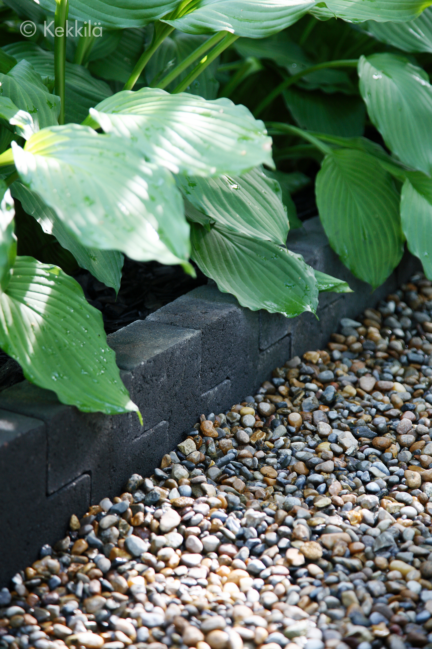 Rajauskivi Kekkilä tummanharmaa