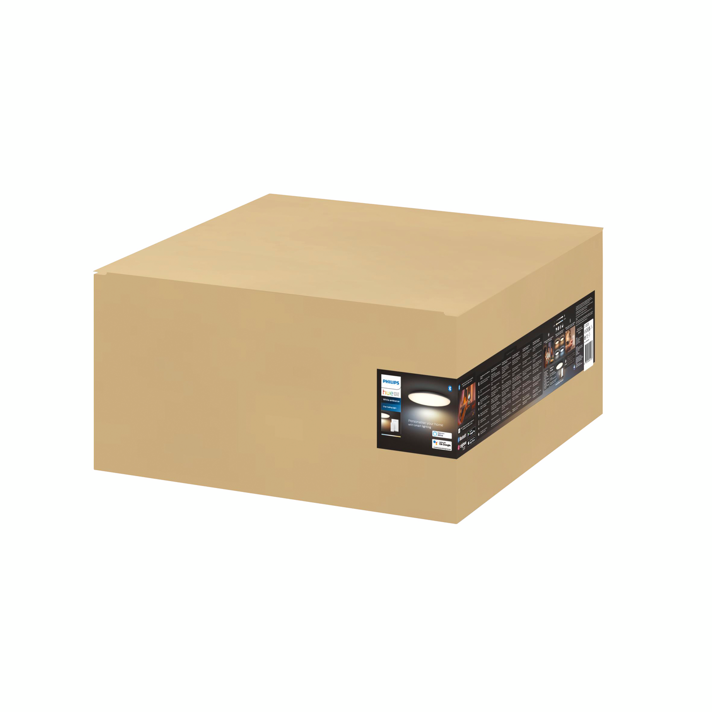 Kattovalaisin Philips Hue Cher musta