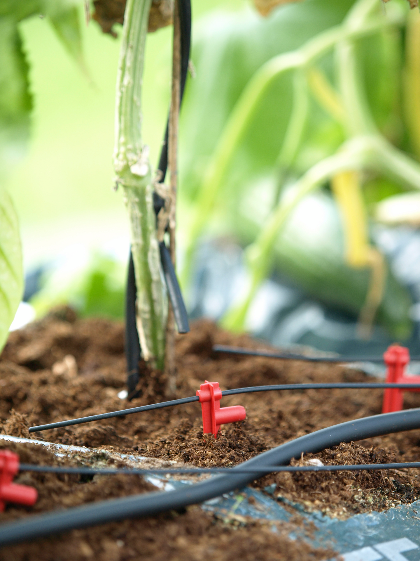 Laajennussetti Vitavia hydromat