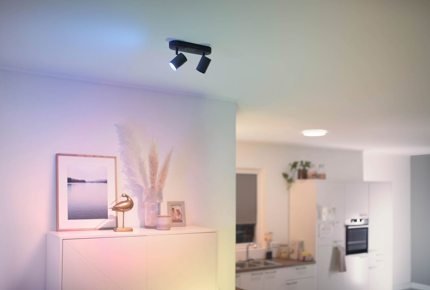 Kohdevalaisin WiZ imageo musta 2X5W