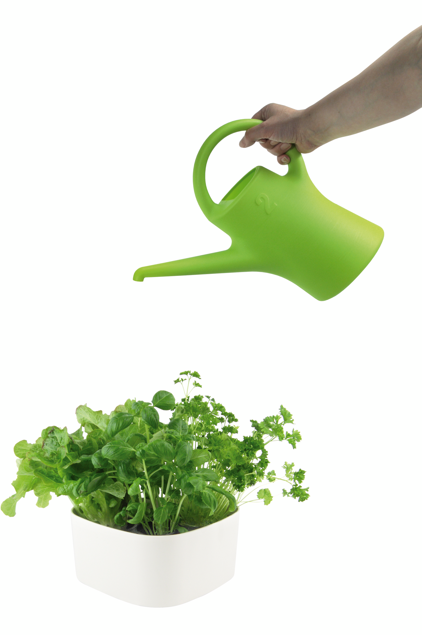 Kastelukannu Plastex Evergreen 2l lime