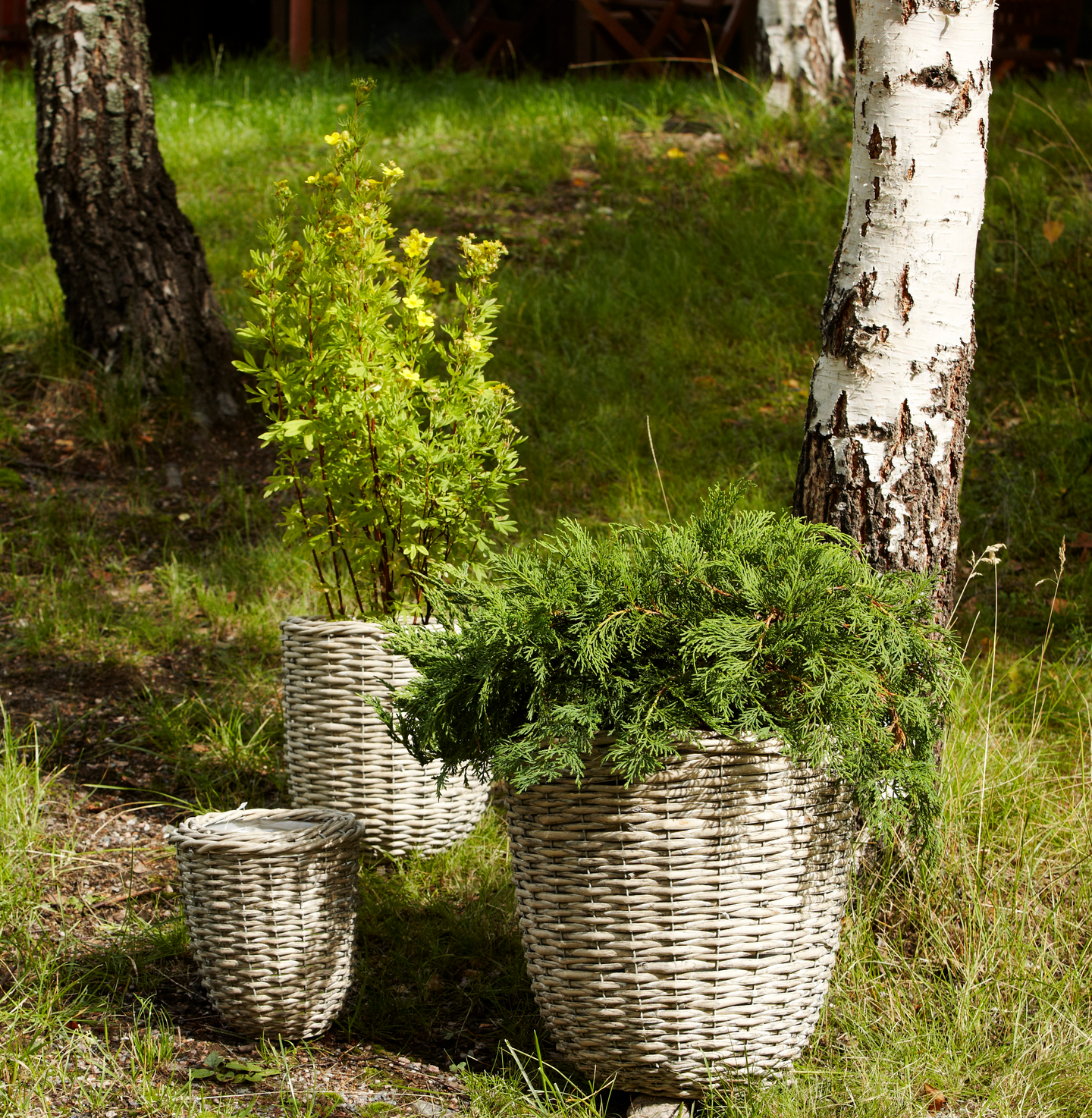 Pajukori Excellent pyöreä valkoinen S