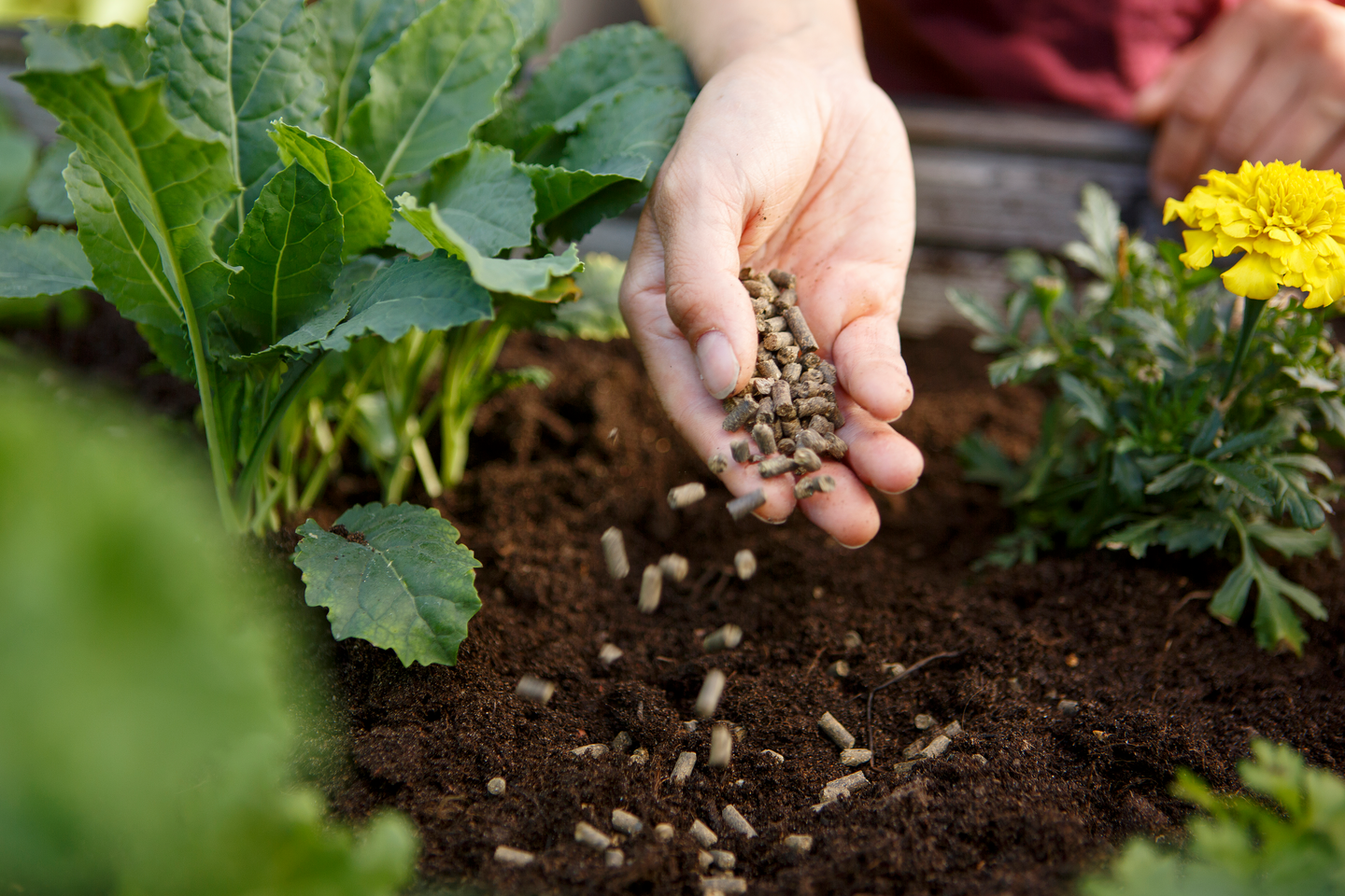 Puutarhalannoite Kekkilä luonnonmukainen 10l