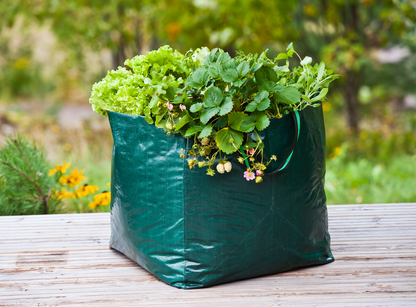 Kasvatussäkki muovi 50x50x50 cm vihreä