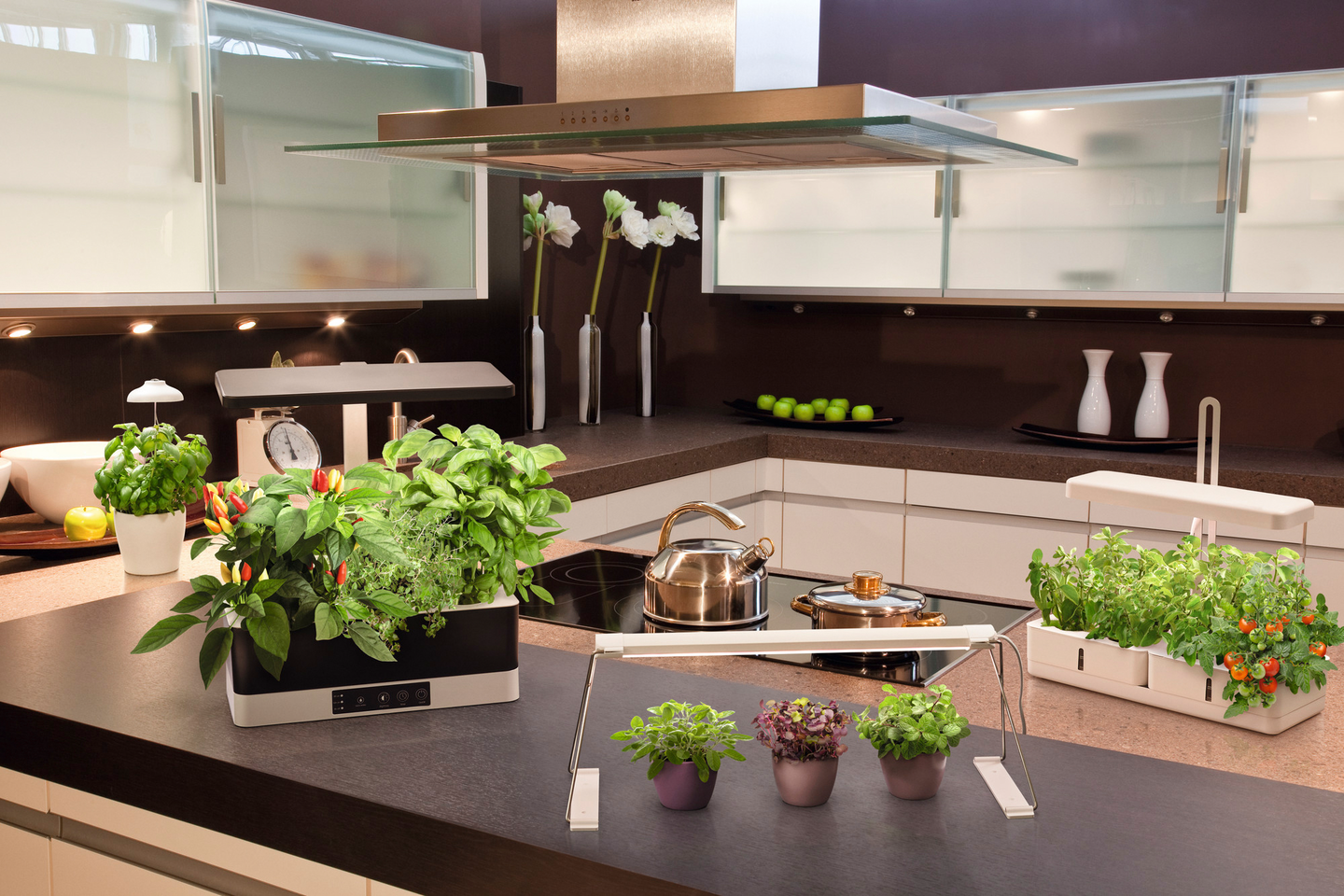 LED-kasvivalaisin LEDVANCE Indoor Garden Kit 1350lm