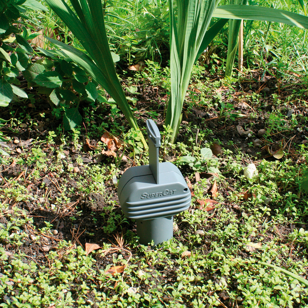 Myyränloukku super Cat