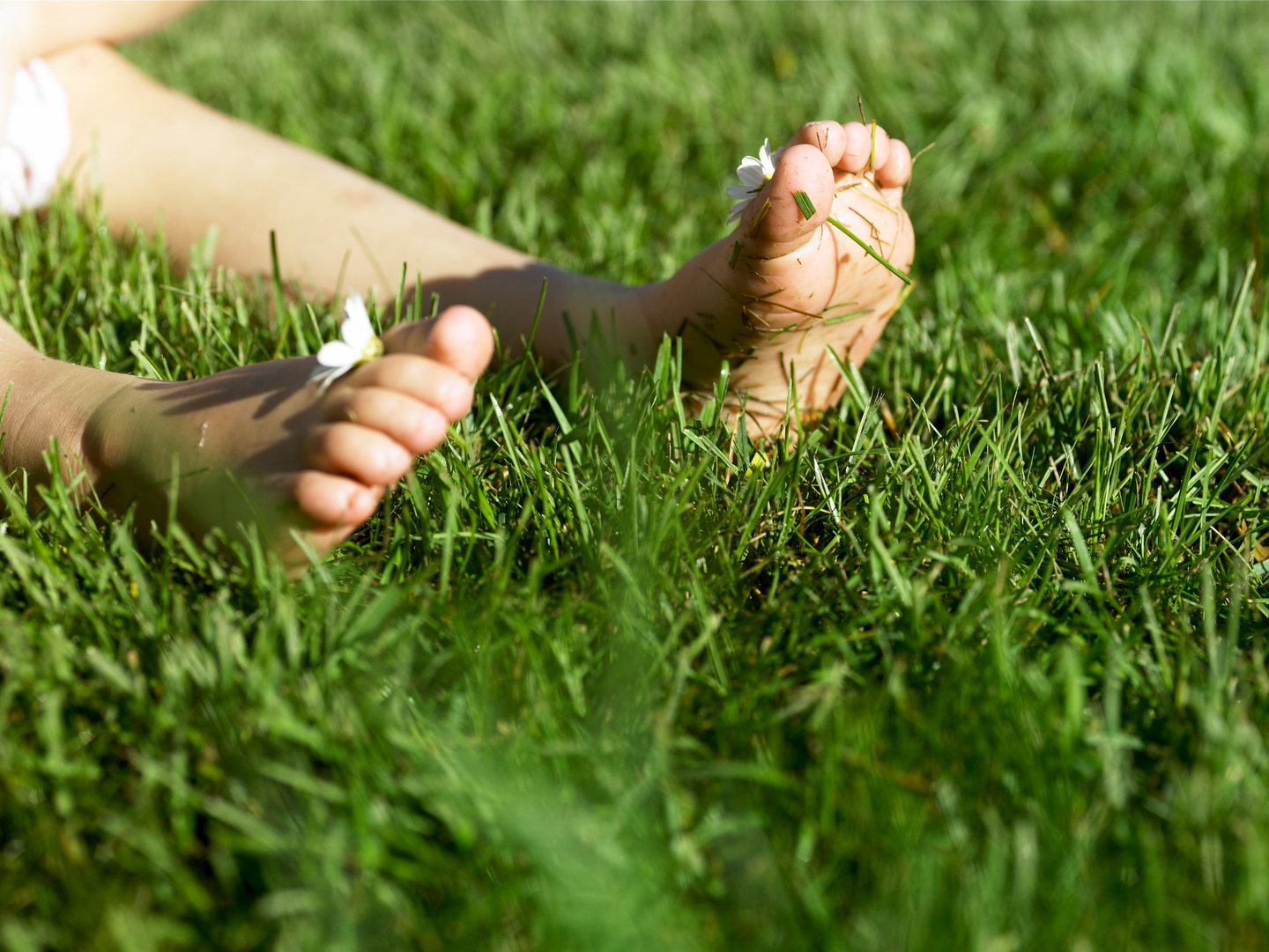 Nurmikkolannoite Kekkilä 20kg