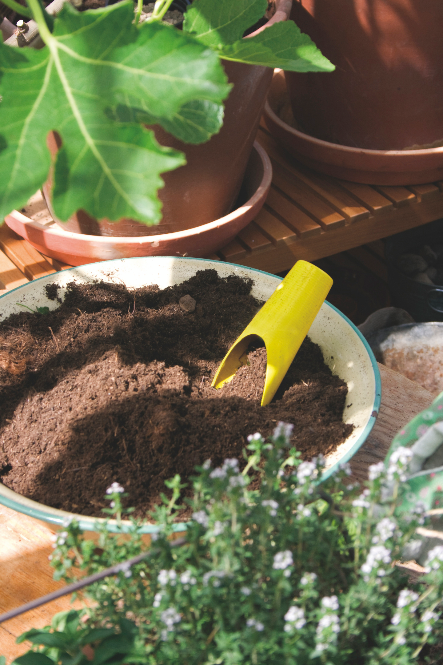 Kauha Nelson Garden mini keltainen