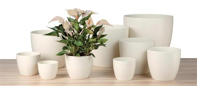 Sisäruukku Scheurich 16cm kerma