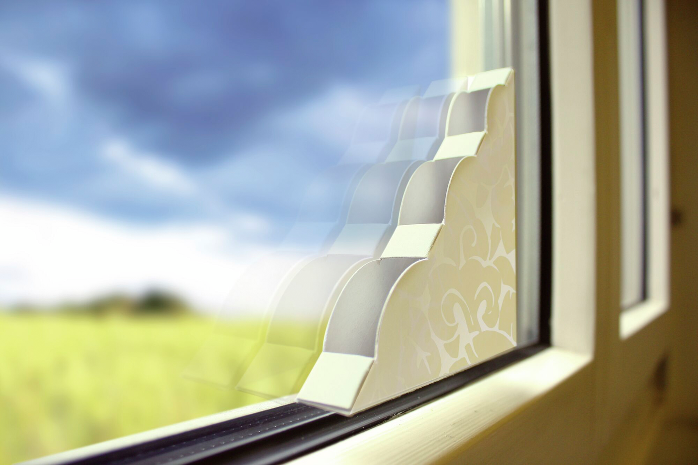 Kärpäspyydys ikkunaan Swissinno Natural Control valkoinen/kuvio 4kpl