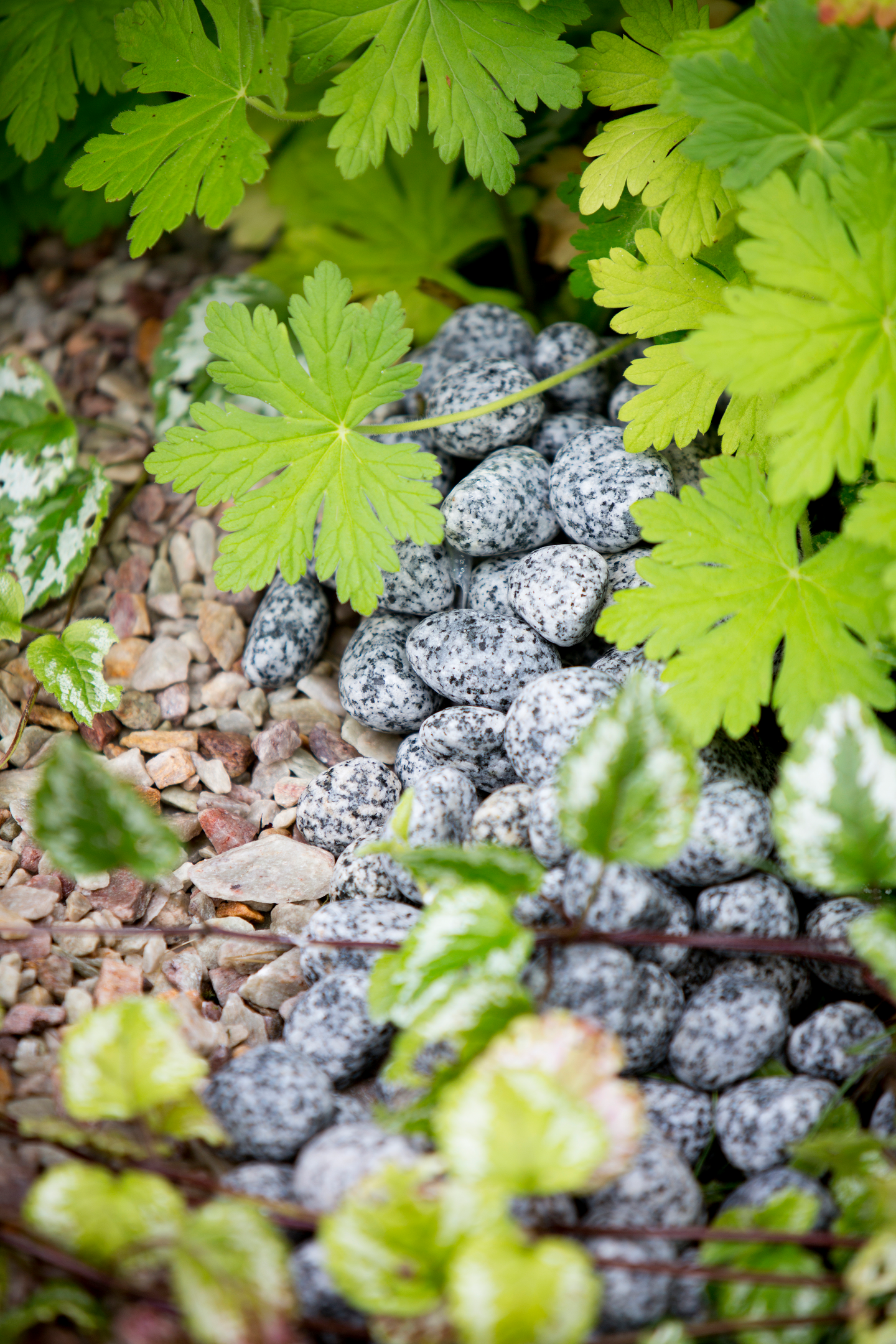 Koristekivi Kekkilä iso harmaa graniitti 10kg