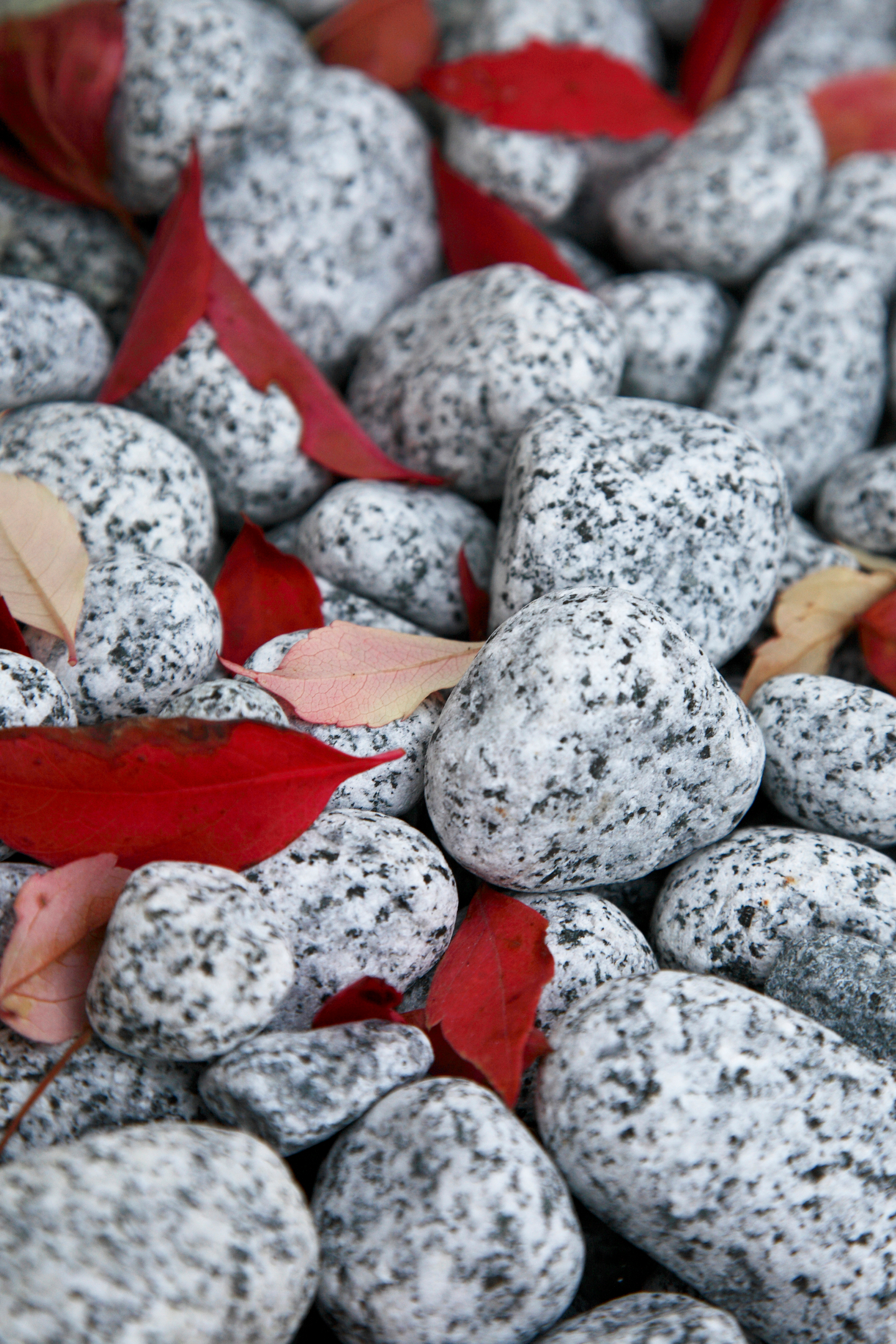 Koristekivi Kekkilä iso harmaa graniitti 10kg