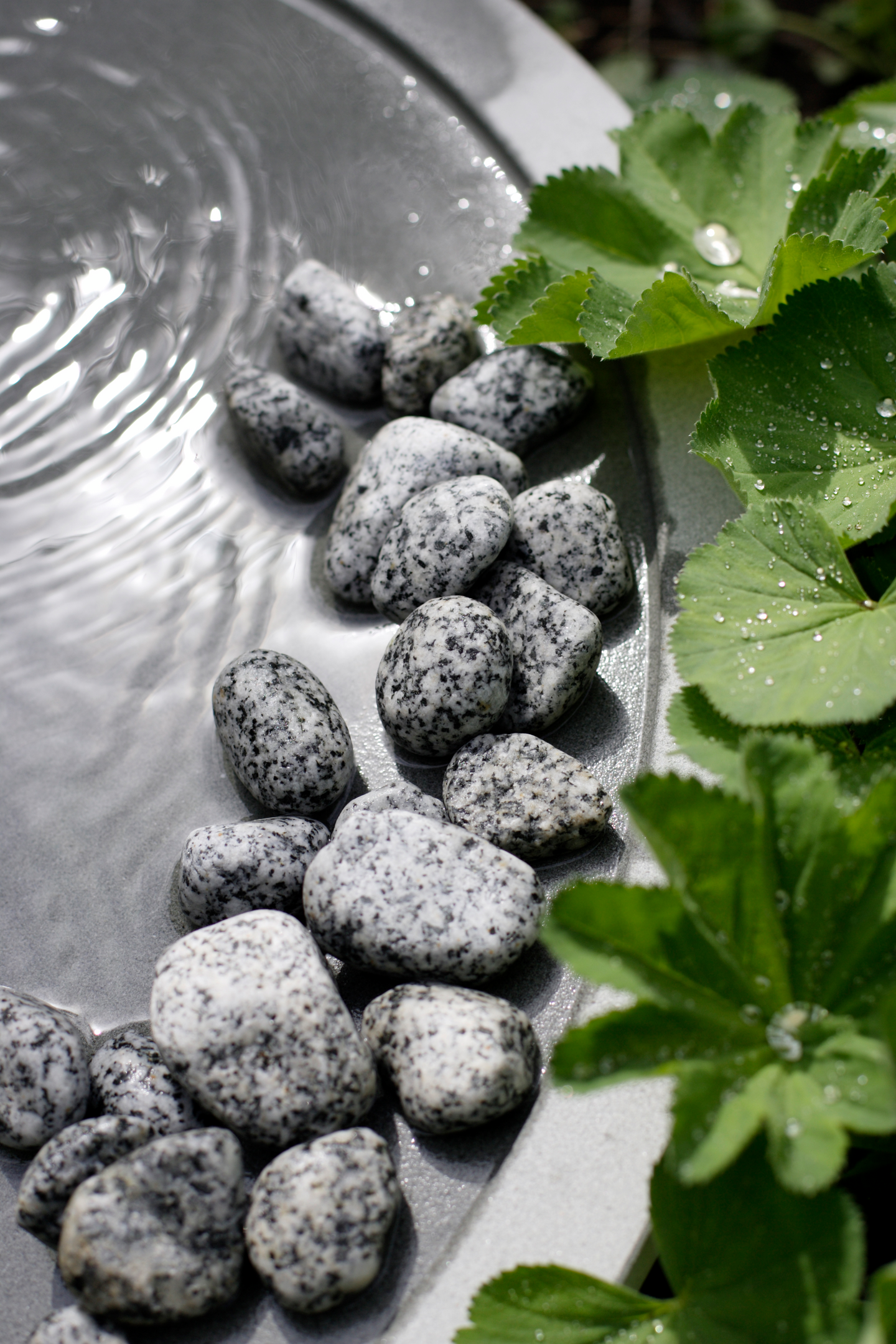 Koristekivi Kekkilä iso harmaa graniitti 10kg