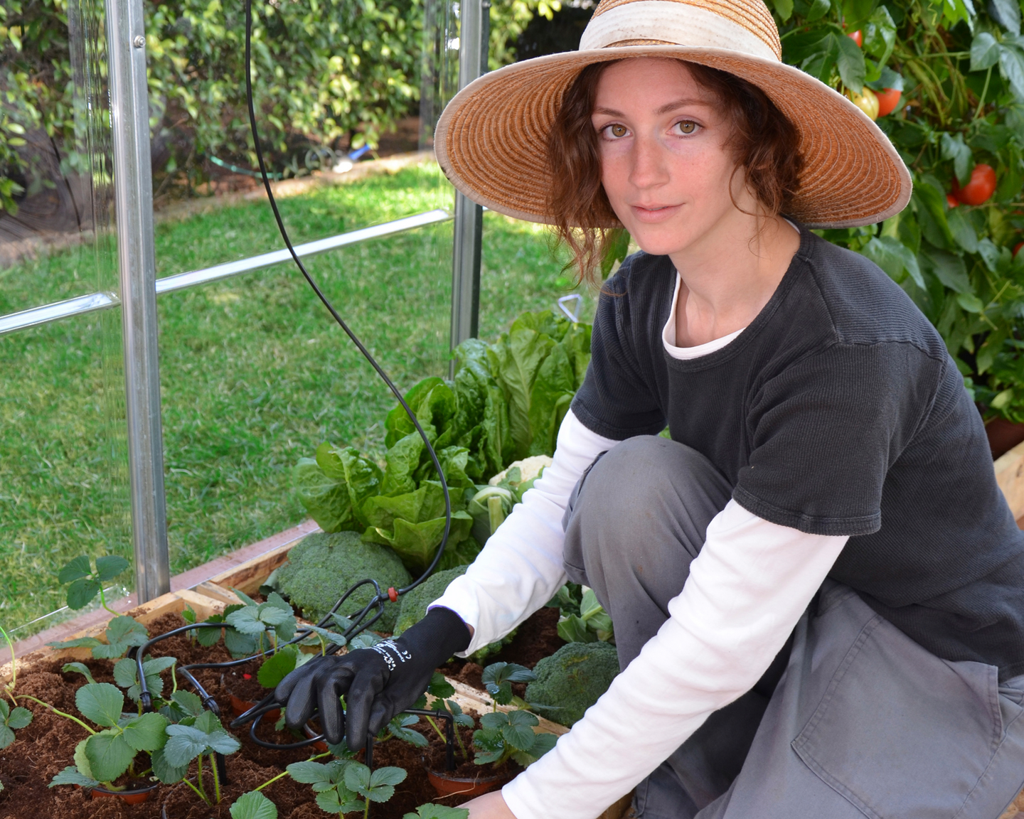 Tihkukastelusetti Palram-Canopia