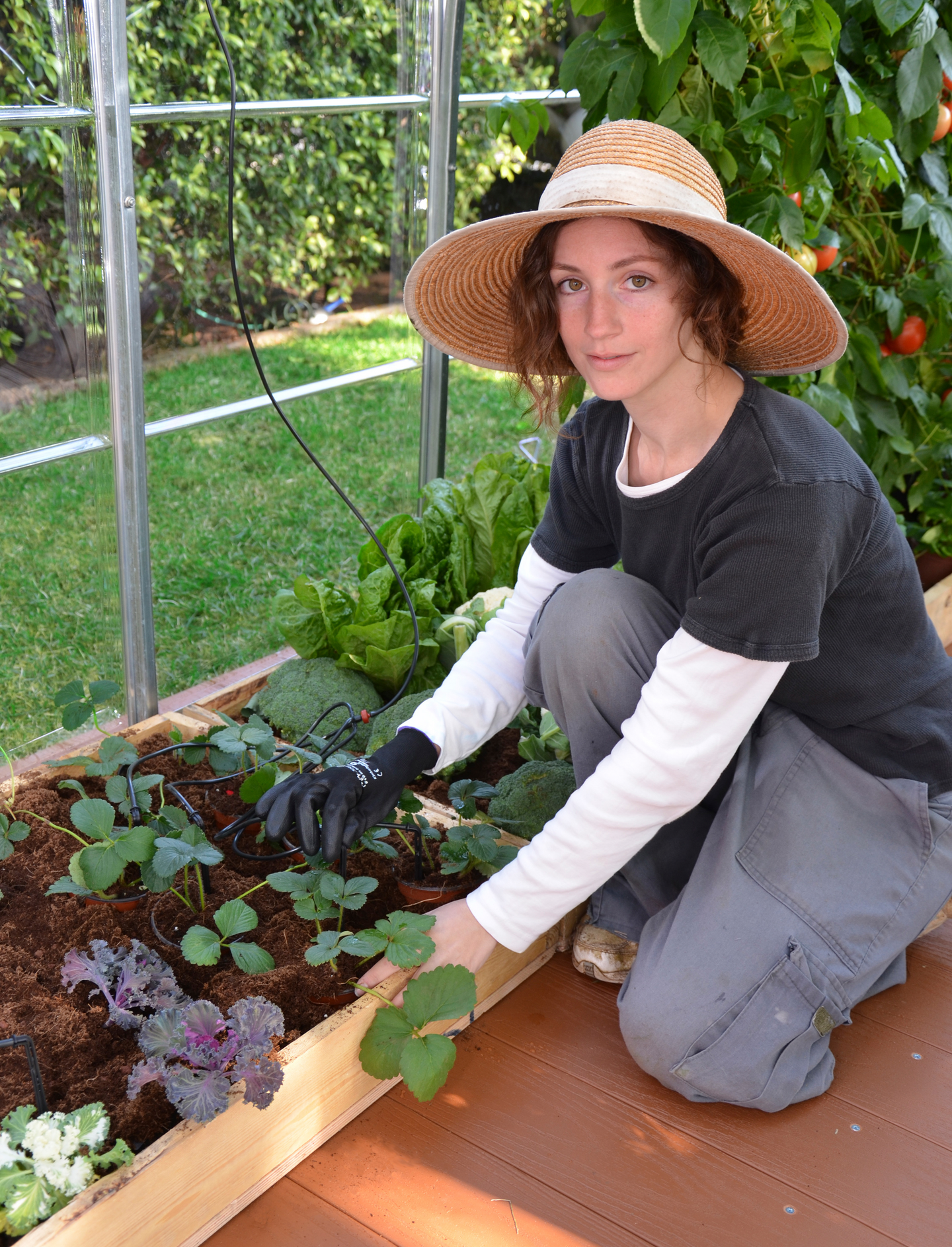 Tihkukastelusetti Palram-Canopia