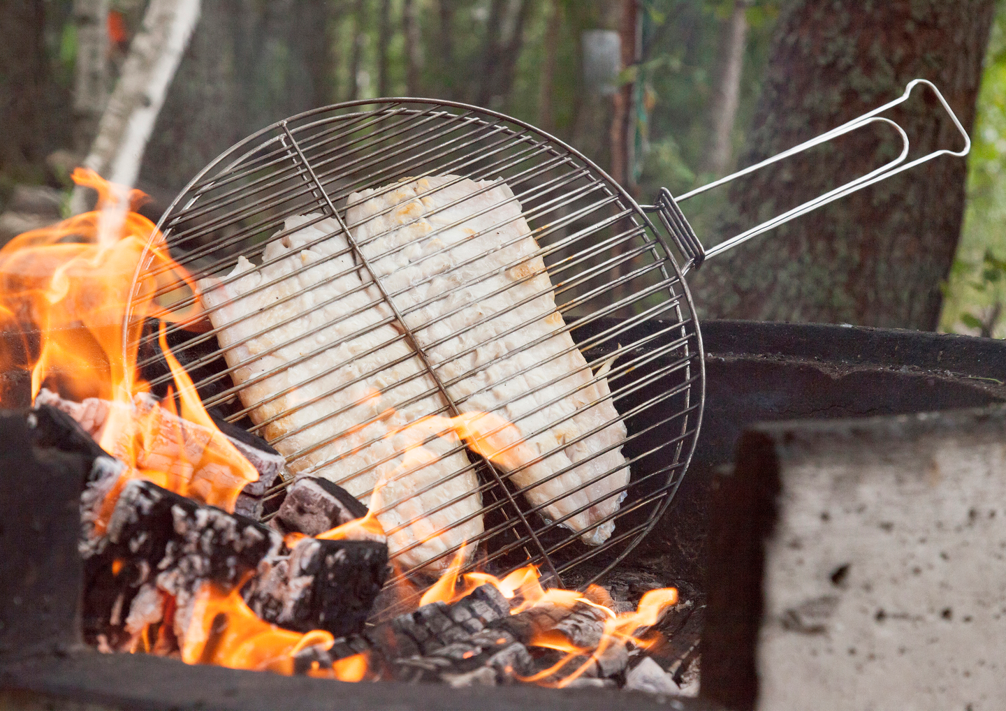 Grilsteri Muurikka halkaisija 40cm