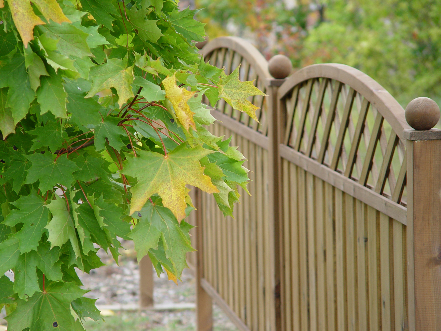 Kansi hiekkalaatikkoon Tammiston Puu 120x120cm vihreä