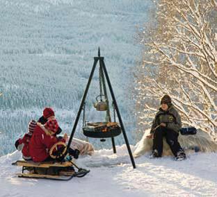 Tulipata Espegard 60cm