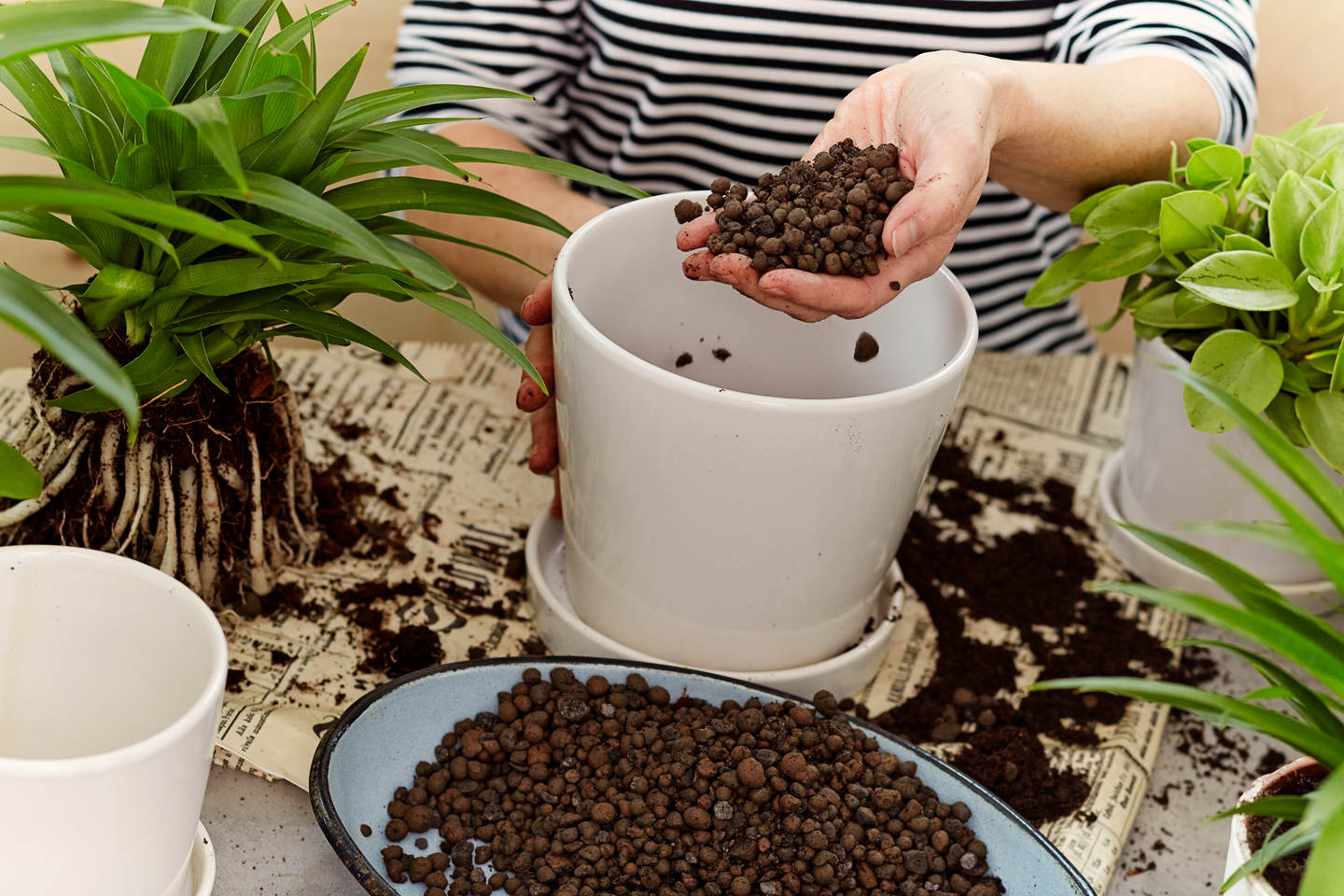 Kukkamulta Kekkilä 10l