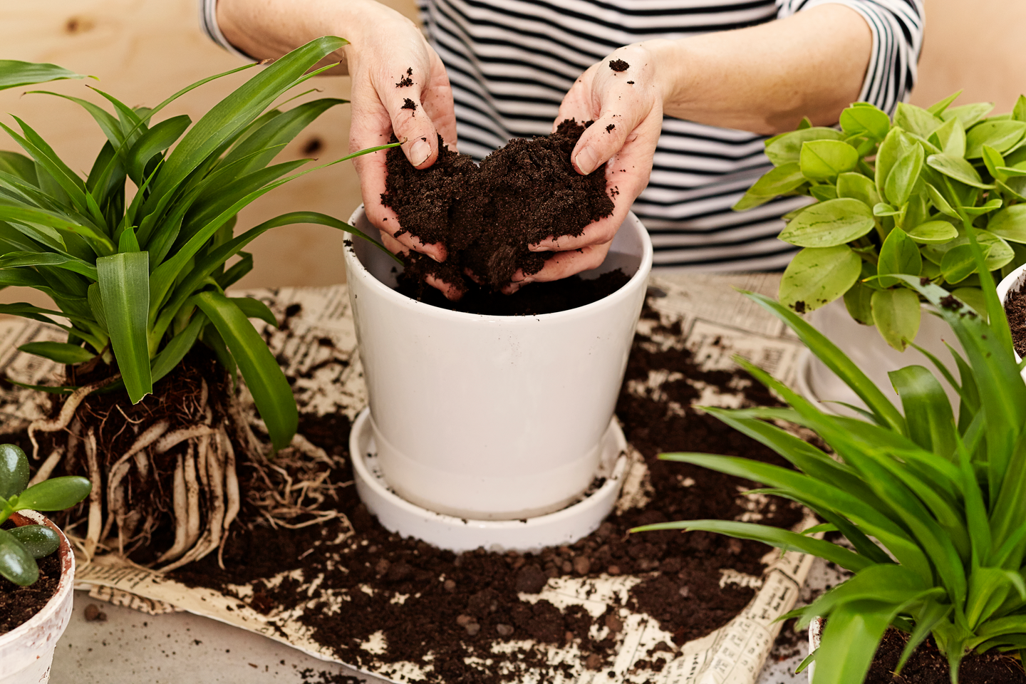 Kukkamulta Kekkilä 10l