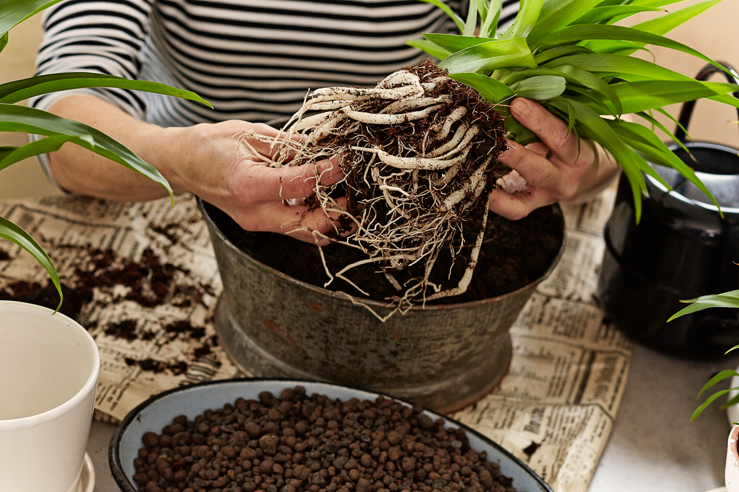 Kukkamulta Kekkilä 10l