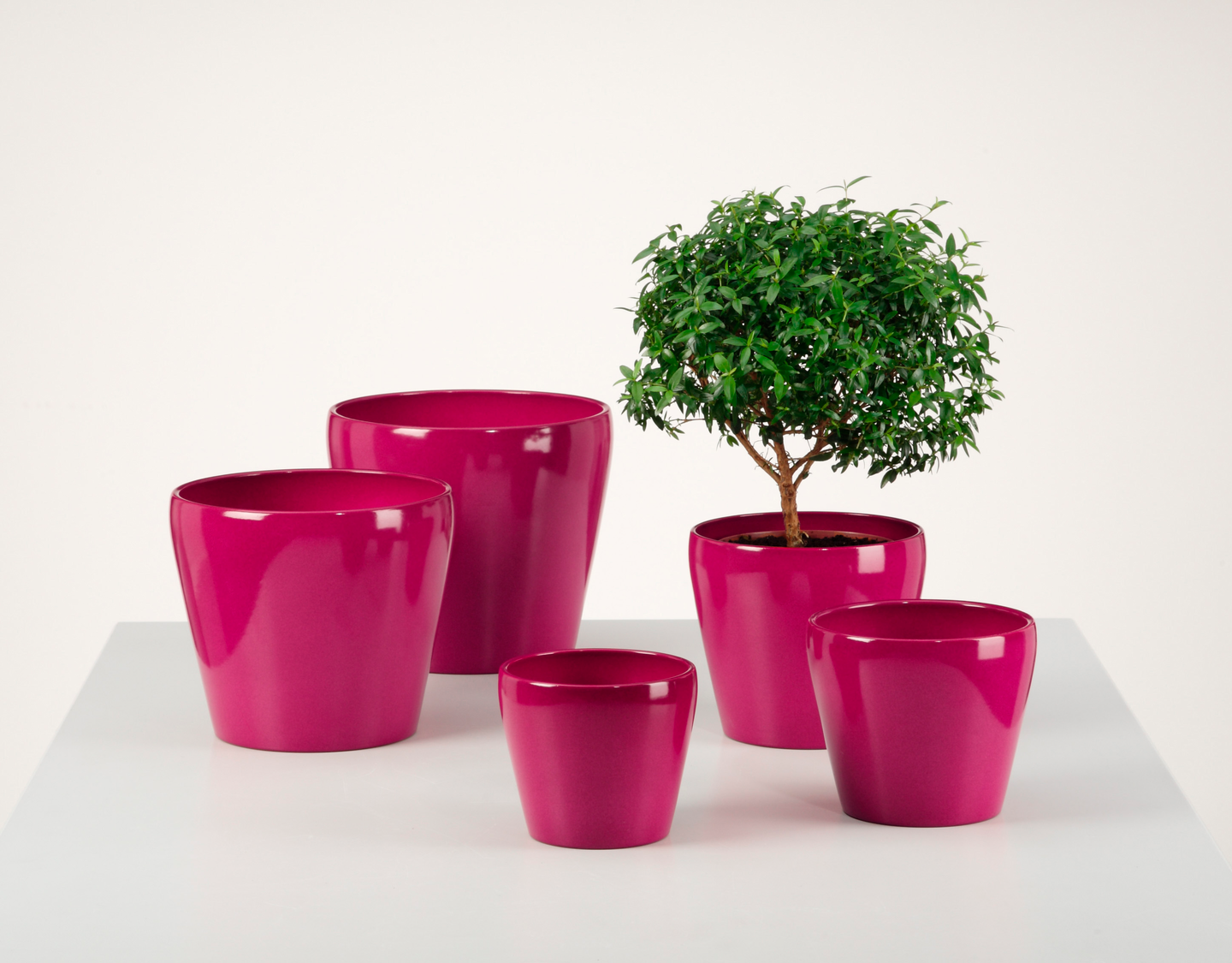 Sisäruukku Scheurich 18cm fuksia