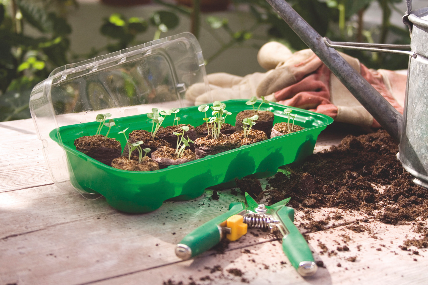 Pienoiskasvihuone Nelson Garden sis. briketit