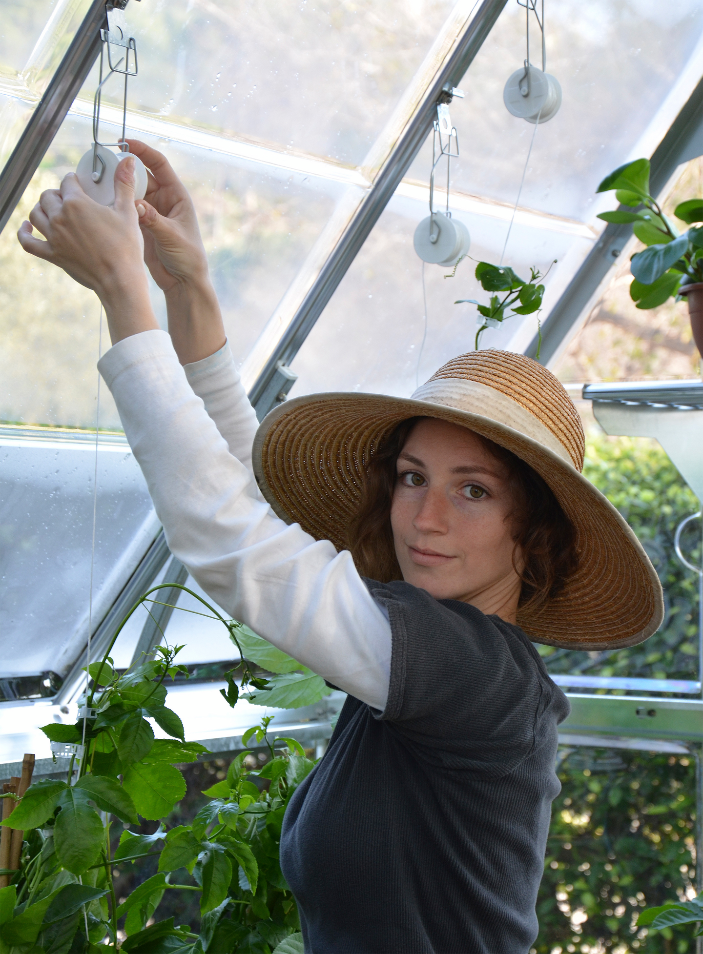 Kasvulankasetti Palram-Canopia