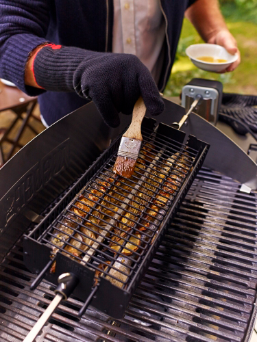 Grillivarraskori Weber Q200/2000 tai isompi 17394